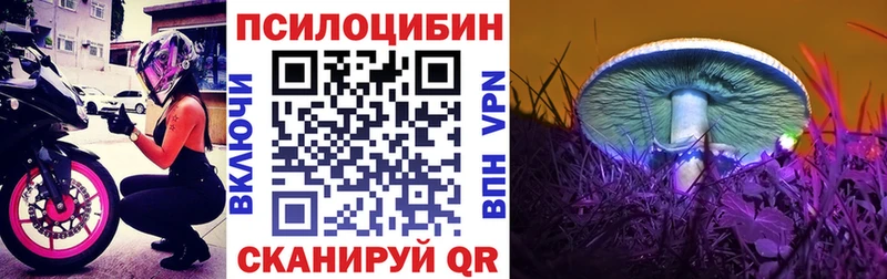 Псилоцибиновые грибы MAGIC MUSHROOMS  закладка  Суровикино 